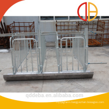 pig gestation crate sow stall Deba pig equipment